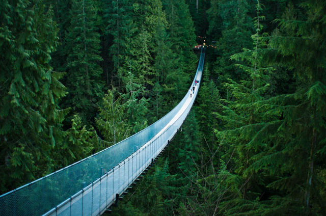 Image 12 -- The Capilano suspension bridge in Vancouver