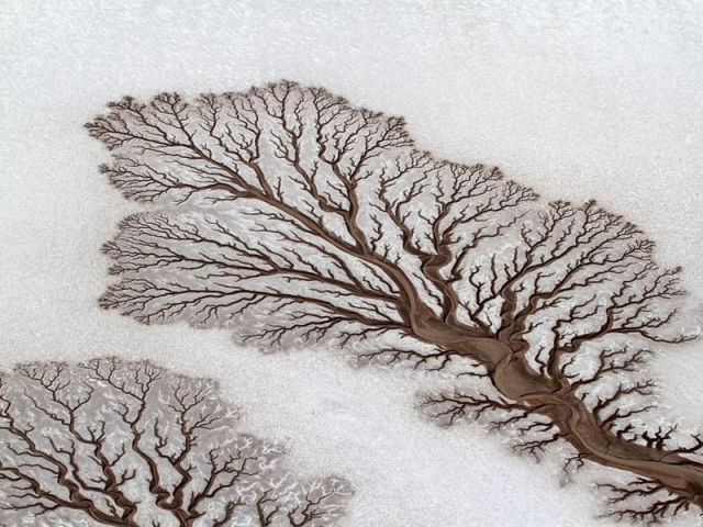 Image 13 -- Fractal patterns in dried out desert rivers