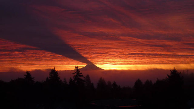 Image 5 -- Mount Rainier casting a shadow on clouds